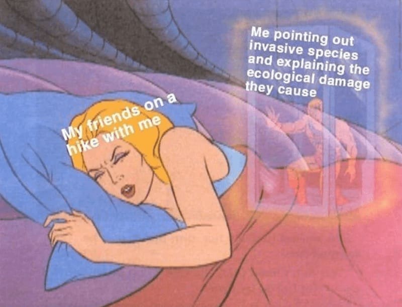 Hiking Memes My friends on a hike with me Me pointing out invasive species and explaining the ecological damage they cause