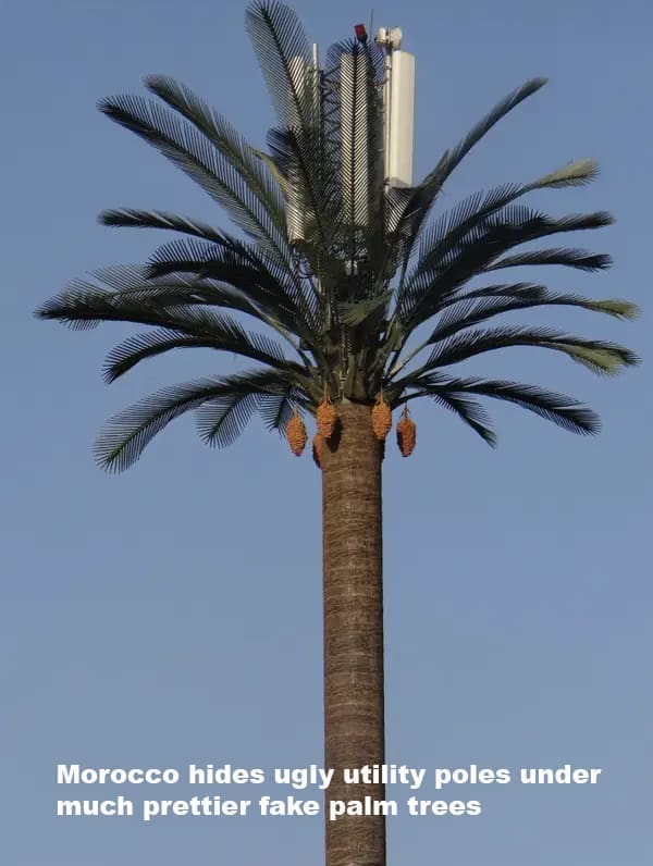 Morocco hides ugly utility poles under much prettier fake palm trees