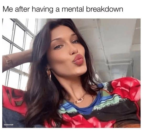 pet humor, wildlife memes Synonyms: creature comedy, furry funnies, zoological humor