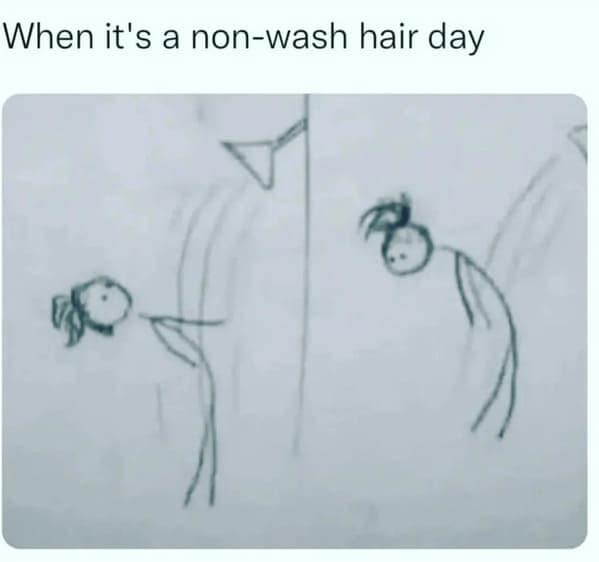 pet humor, wildlife memes Synonyms: creature comedy, furry funnies, zoological humor