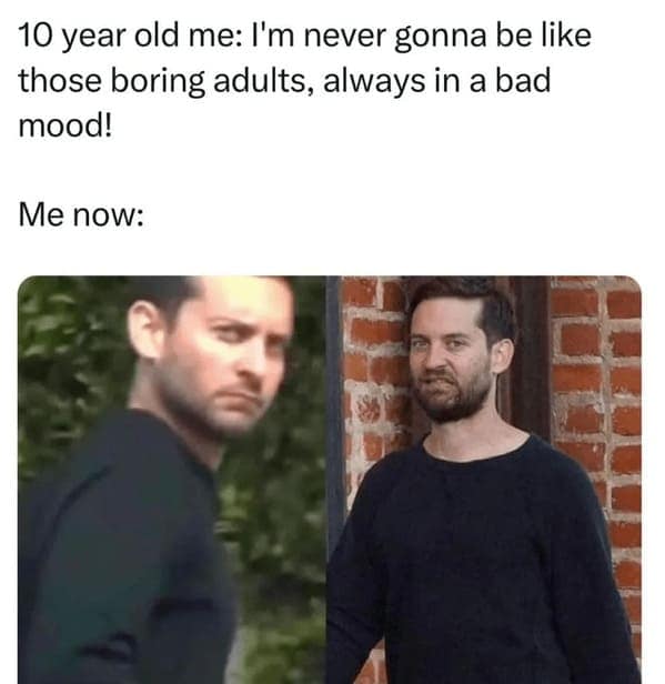 pet humor, wildlife memes Synonyms: creature comedy, furry funnies, zoological humor