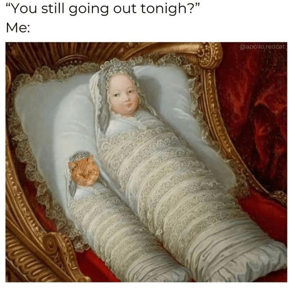 pet humor, wildlife memes Synonyms: creature comedy, furry funnies, zoological humor