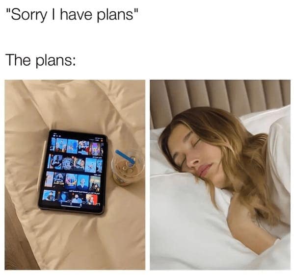 pet humor, wildlife memes Synonyms: creature comedy, furry funnies, zoological humor