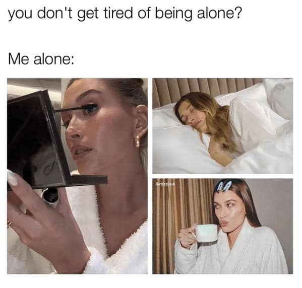 pet humor, wildlife memes Synonyms: creature comedy, furry funnies, zoological humor