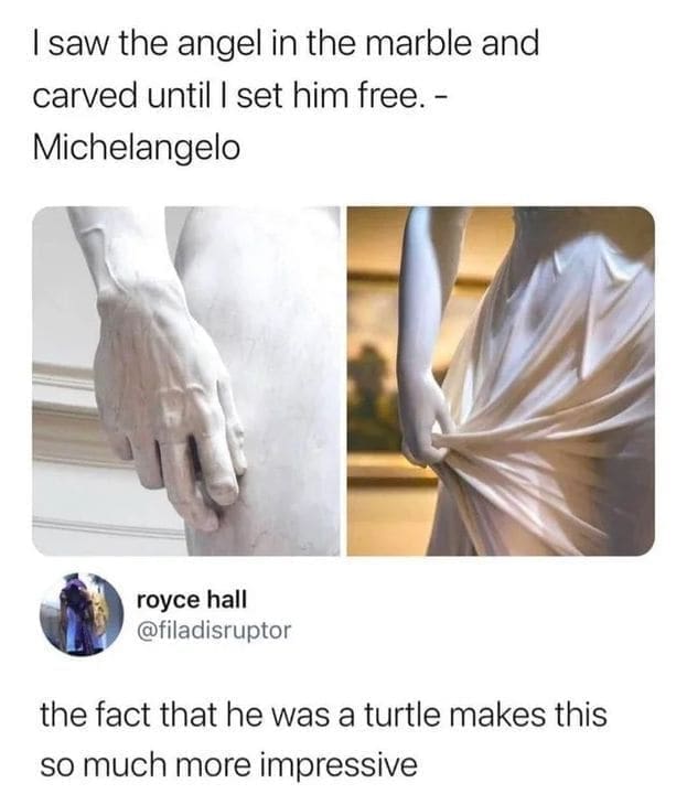 I saw the angel in the marble and carved until I set him free. - Michelangelo royce hall @filadisruptor the fact that he was a turtle makes this so much more impressive
