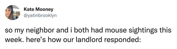 landlord hires a cat, landlord hires a cat to deal with a mouse problem, funny text exchange, unconventional pest control, humorous landlord tenant interaction, comedic landlord communication, rodent problem resolution, feline pest management