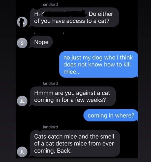 landlord hires a cat, landlord hires a cat to deal with a mouse problem, funny text exchange, unconventional pest control, humorous landlord tenant interaction, comedic landlord communication, rodent problem resolution, feline pest management