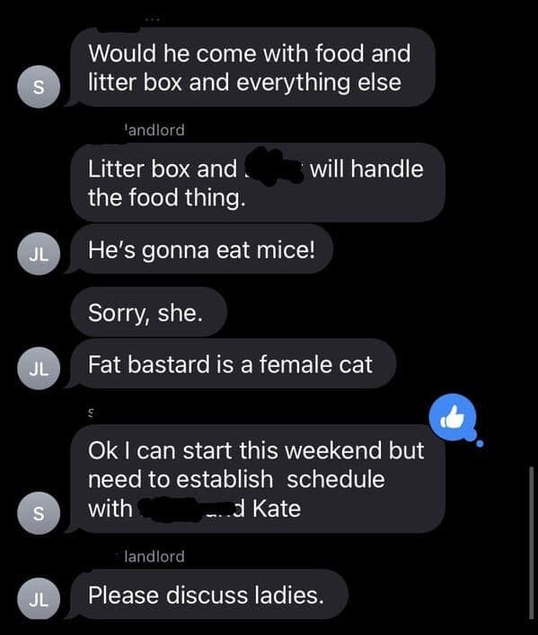 landlord hires a cat, landlord hires a cat to deal with a mouse problem, funny text exchange, unconventional pest control, humorous landlord tenant interaction, comedic landlord communication, rodent problem resolution, feline pest management