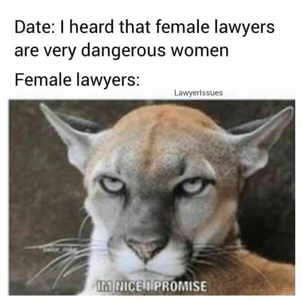Lawyer memes Date: I heard that female lawyers are very dangerous women Female lawyers: