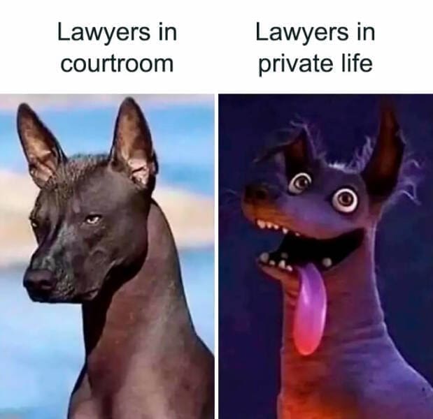 Lawyer memes Lawyers in courtroom Lawyers in private life