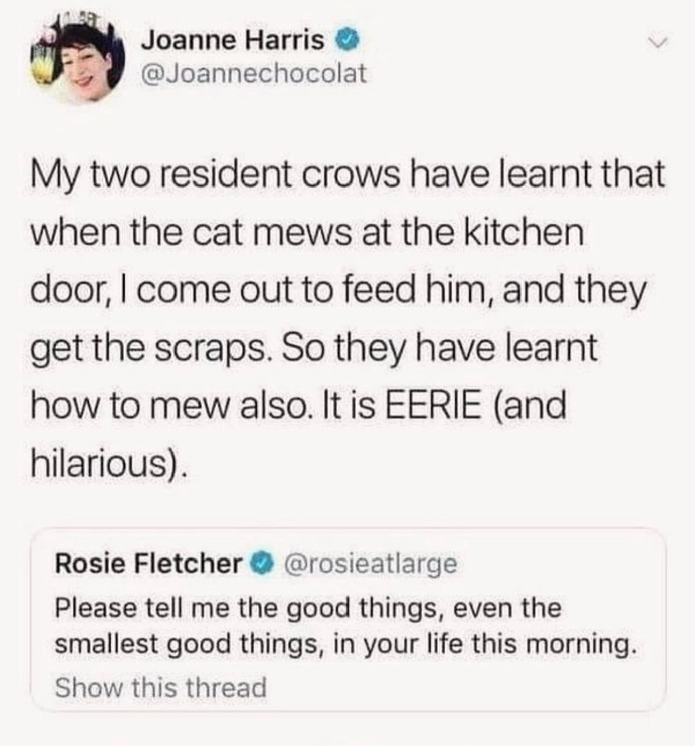 meme dump, hilarious memes, funny memes, funny pictures, best memes, internet humor, hilarious memes, meme compilation, laughter collection, humor showcase, meme bonanza