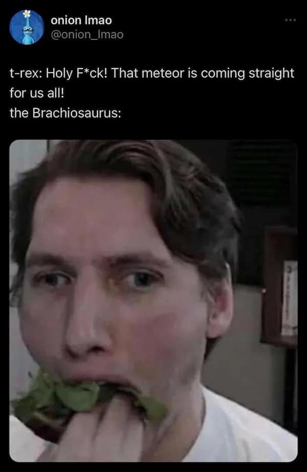 meme dump, hilarious memes, meme compilation, laughter dump, humor showcase, daily memes, meme collection, internet humor