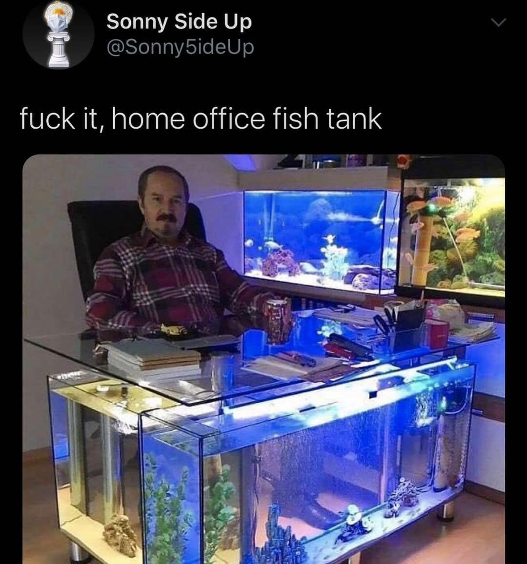 meme dump, hilarious memes