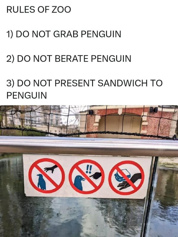 meme dump, hilarious memes, meme compilation, laughter dump, humor showcase, daily memes, meme collection, internet humor