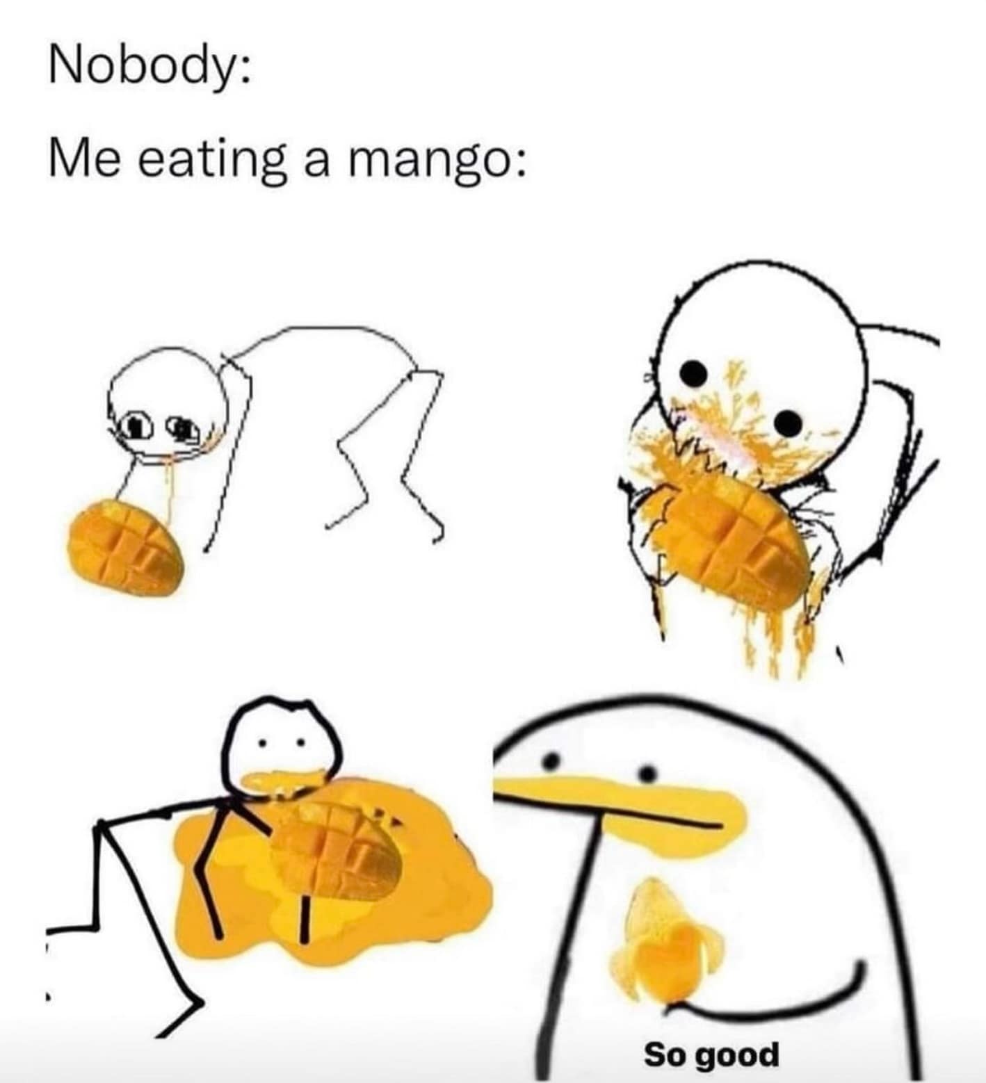 meme dump, hilarious memes