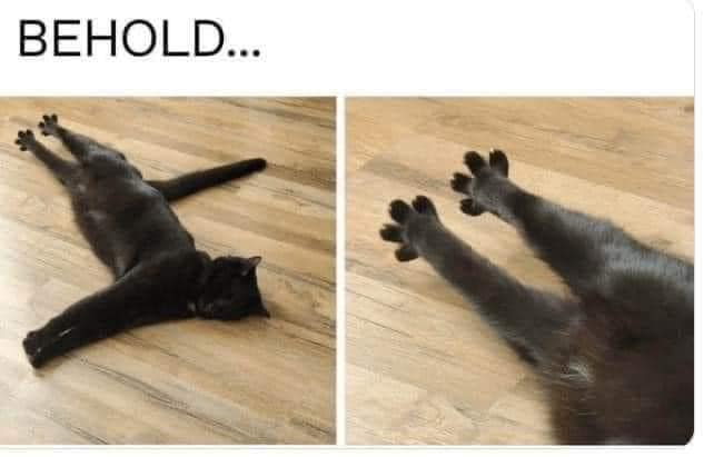 meme dump, hilarious memes, funny memes, funny pictures, best memes, internet humor, hilarious memes, meme compilation, laughter collection, humor showcase, meme bonanza