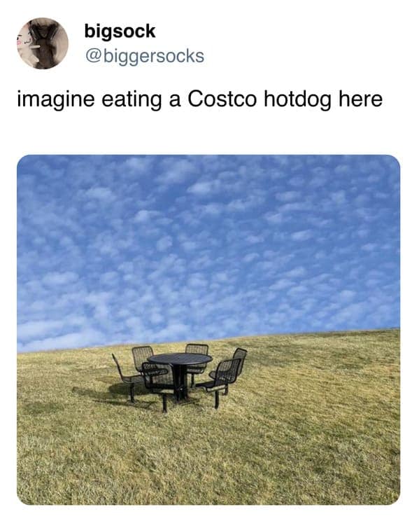 meme dump, hilarious memes