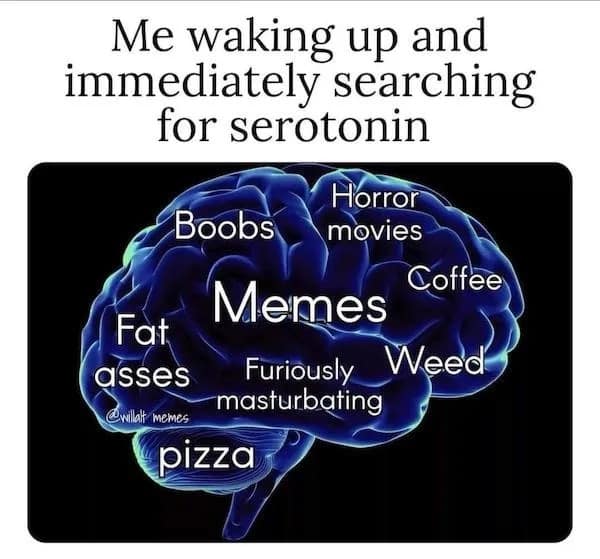 meme dump, hilarious memes, lazy Sunday memes, humorous memes, meme collection, laughter repository, chuckle compilation, meme extravaganza