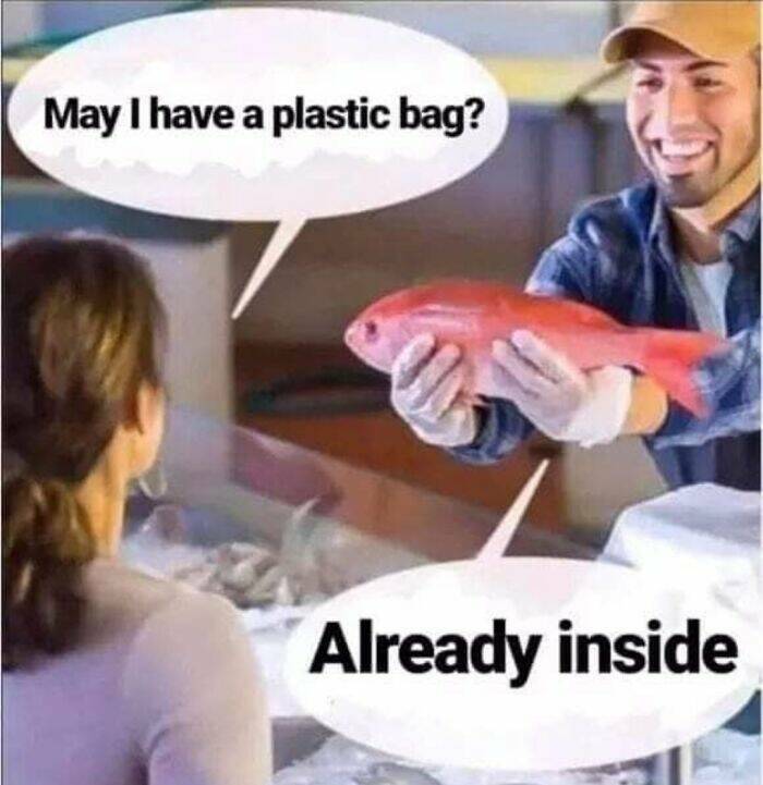 meme dump, hilarious memes, fresh memes, funny memes, best memes, daily memes, unch break memes, daily dose of laughter, midday humor, meme collection, comedic compilation, humorous images