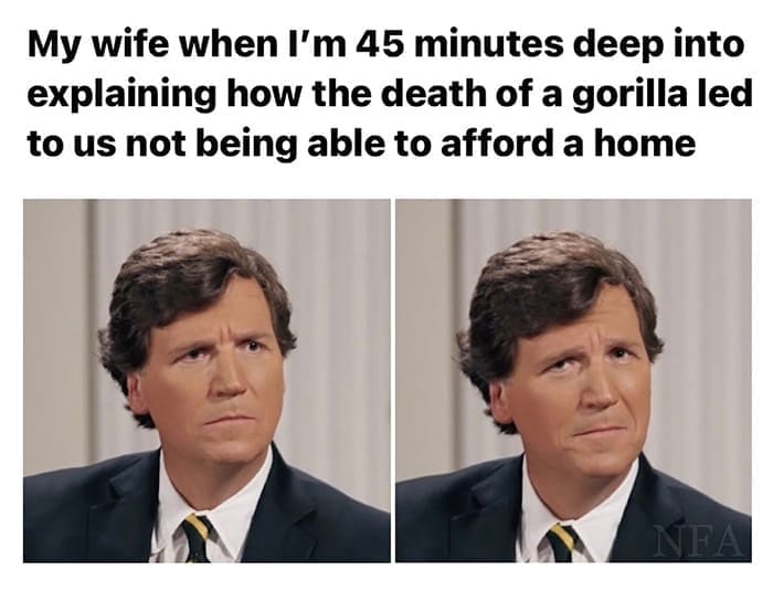 meme dump, hilarious memes