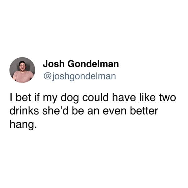 meme dump, hilarious memes