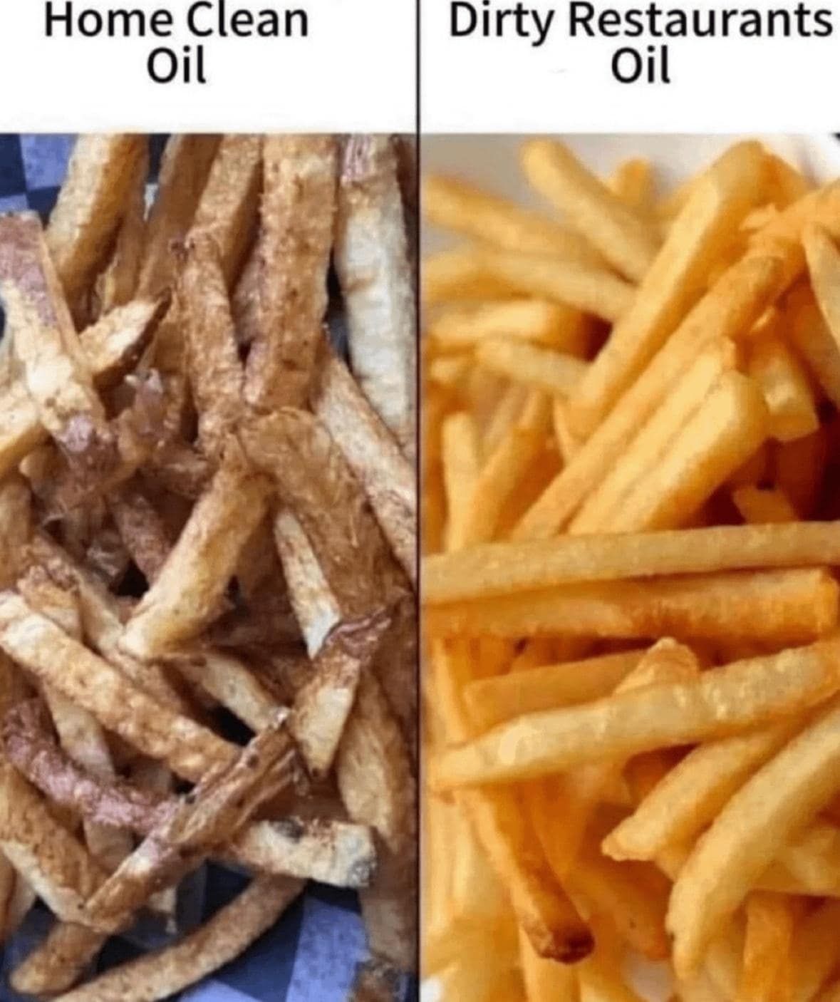 meme dump, hilarious memes