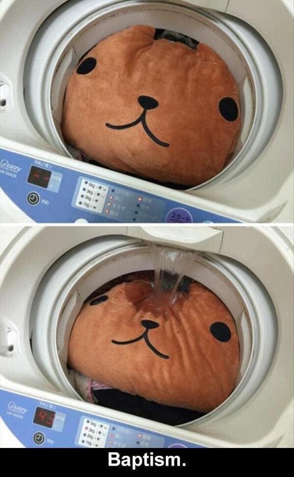 meme dump, hilarious memes