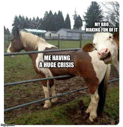 meme dump, hilarious memes, internet humor, funny memes, laughter-inducing content, meme collection, humor compilation, joke repository