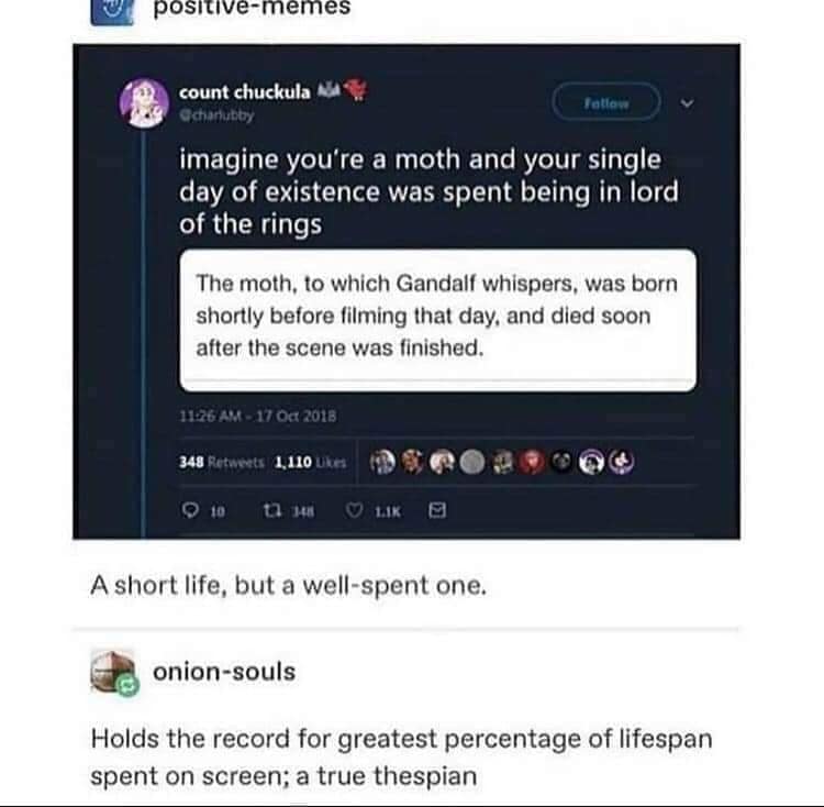 meme dump, hilarious memes