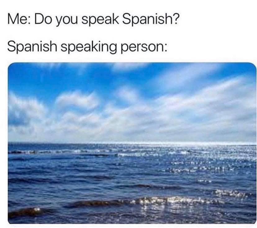 meme dump, hilarious memes