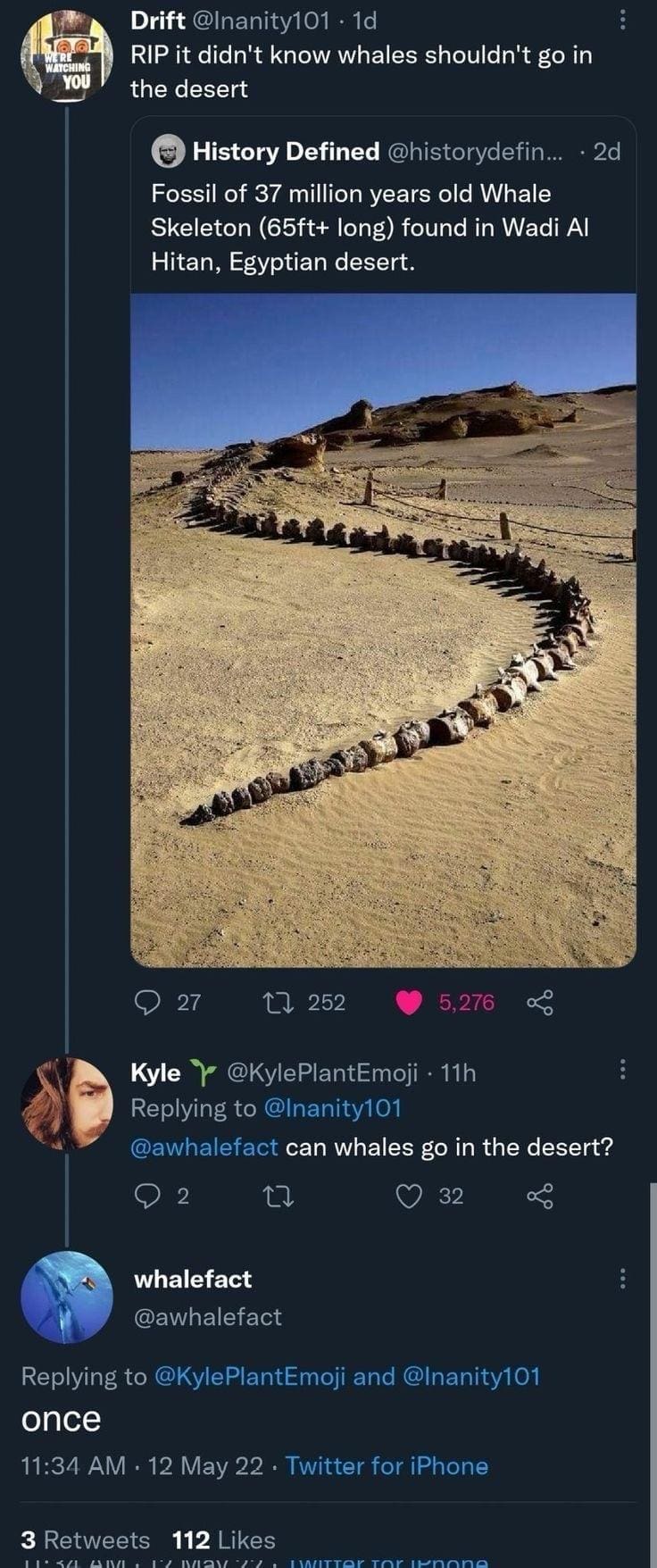 meme dump, hilarious memes, meme compilation, funny meme gallery, humor dump