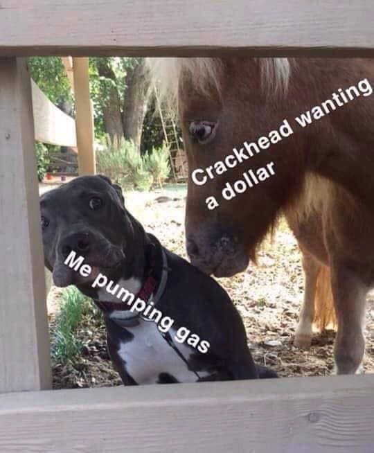 meme dump, hilarious memes, humor compilation, laughter fest, meme bonanza, weekend humor, internet laughs, meme collection
