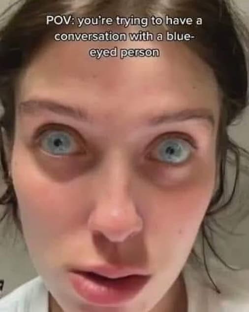 meme dump, hilarious memes