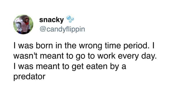 meme dump, hilarious memes, fresh memes, funny memes, best memes, daily memes, unch break memes, daily dose of laughter, midday humor, meme collection, comedic compilation, humorous images