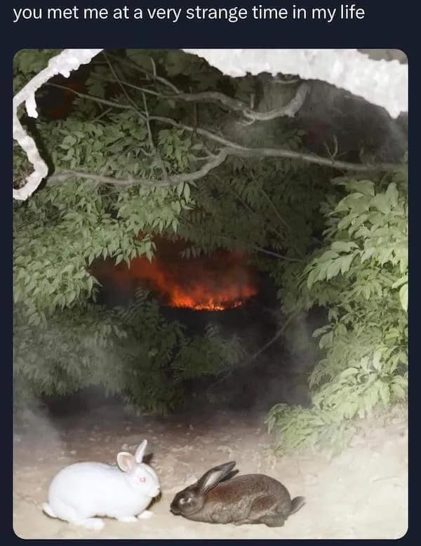 meme dump, hilarious memes, lazy Sunday memes, humorous memes, meme collection, laughter repository, chuckle compilation, meme extravaganza