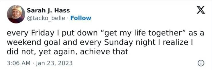 every Friday I put down "get my life together" as a weekend goal and every Sunday night I realize I did not, yet again, achieve that