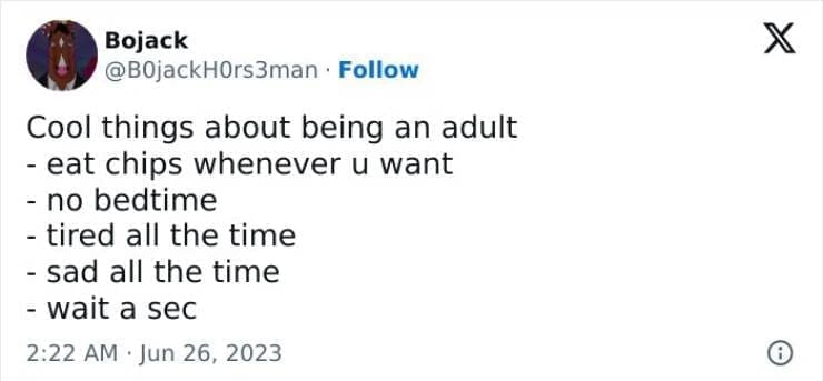 Cool things about being an adult - eat chips whenever u want - no bedtime - tired all the time - sad all the time - wait a sec