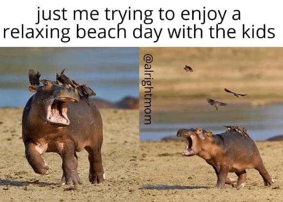 mom memes, motherhood humor, parenting jokes, funny mom moments, mother memes, mommy jokes, parental humor