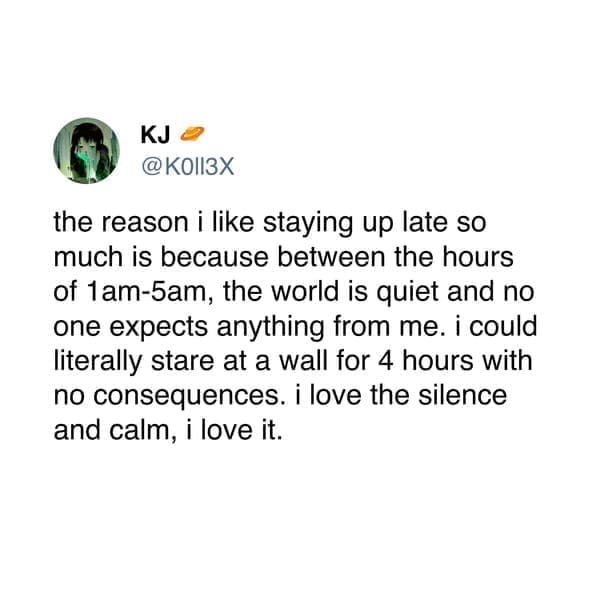Neurodivergent Memes the reason i like staying up late so much is because between the hours of 1am-sam, the world is quiet and no one expects anything from me. i could literally stare at a wall for 4 hours with no consequences. i love the silence and calm, i love it.
