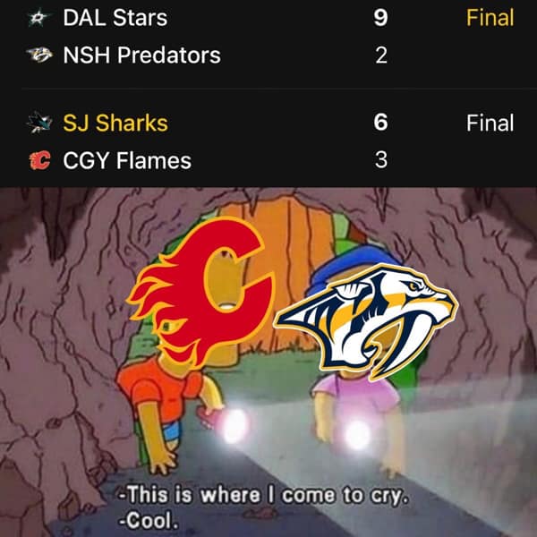 hockey memes, NHL memes, NHL humor, hockey jokes, sports memes, ice hockey memes, puck humor, slapstick laughter