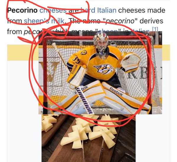 hockey memes, NHL memes, NHL humor, hockey jokes, sports memes, ice hockey memes, puck humor, slapstick laughter