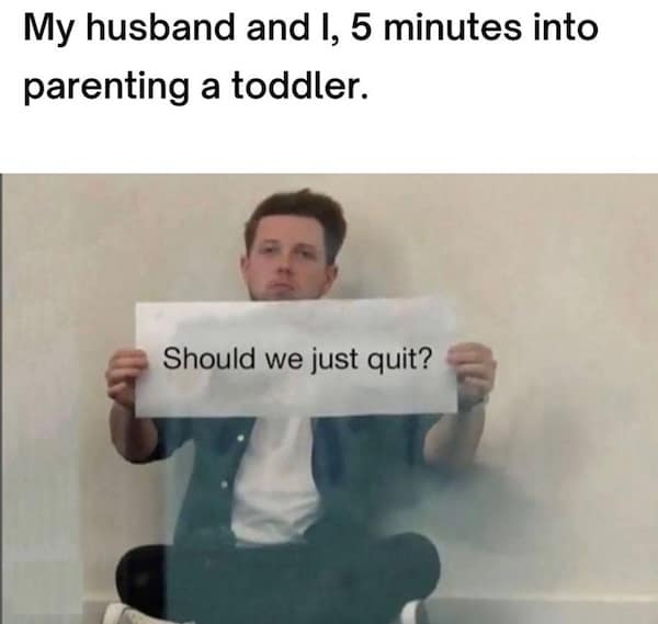 parenting memes, toddler struggles
