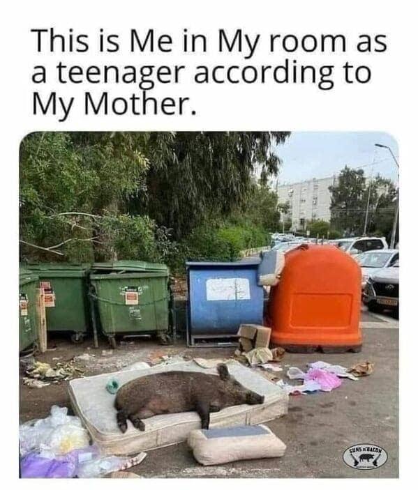 parenting memes, funny parenting jokes, memes about parenthood, humorous family moments, child-rearing humor, laughter in parenting, comical family anecdotes