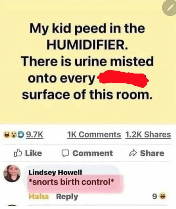 parenting memes, funny parenting jokes, memes about parenthood, humorous family moments, child-rearing humor, laughter in parenting, comical family anecdotes