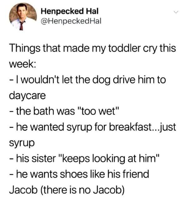 parenting memes, funny parenting jokes, memes about parenthood, humorous family moments, child-rearing humor, laughter in parenting, comical family anecdotes