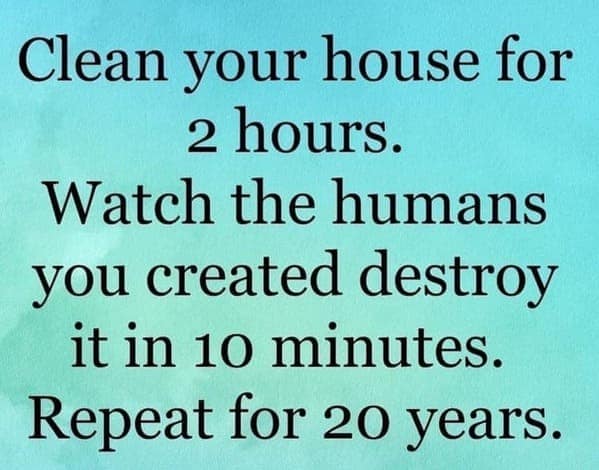 parenting memes, funny parenting jokes, memes about parenthood, humorous family moments, child-rearing humor, laughter in parenting, comical family anecdotes