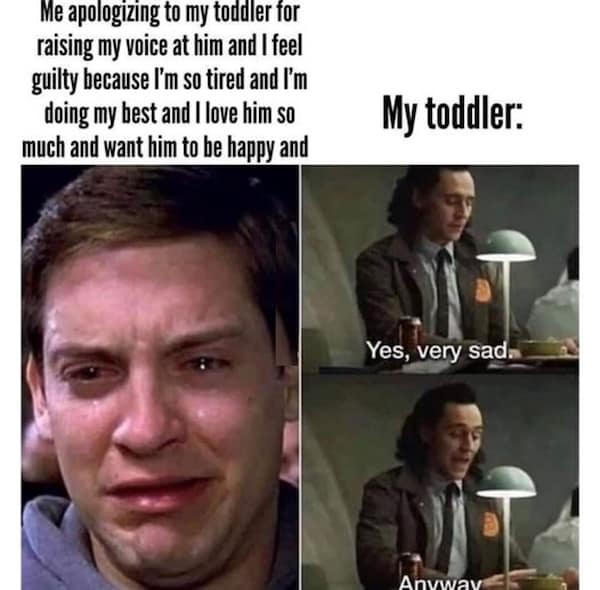 parenting memes, toddler struggles