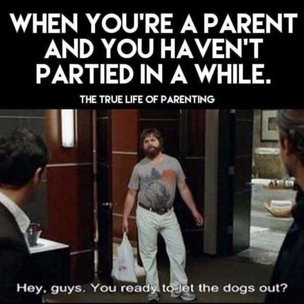 parenting memes, funny parenting jokes, memes about parenthood, humorous family moments, child-rearing humor, laughter in parenting, comical family anecdotes
