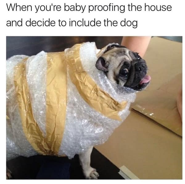 parenting memes, toddler struggles