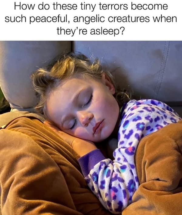 parenting memes, toddler struggles